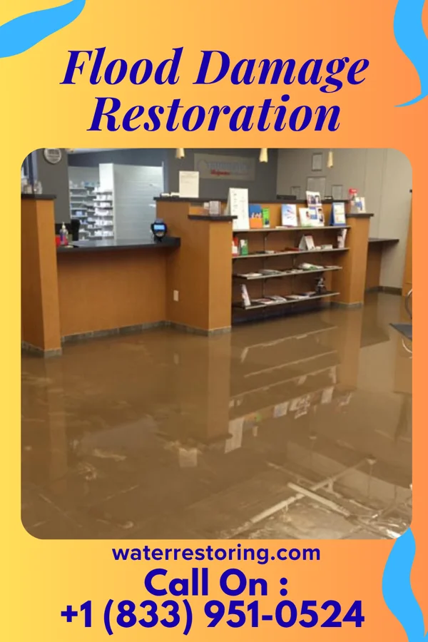 Flood Damage Restoration in Parks, LA