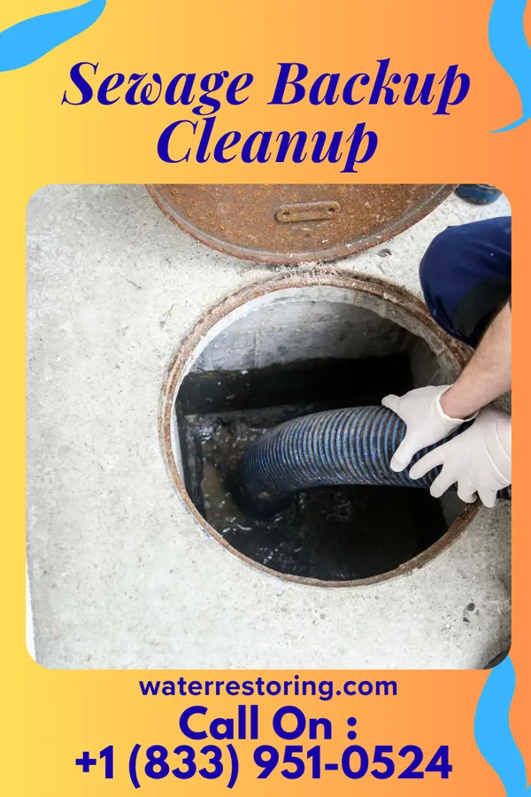 Sewage Backup Cleanup in Parks, LA
